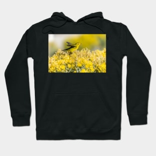 Gold in Taos Hoodie